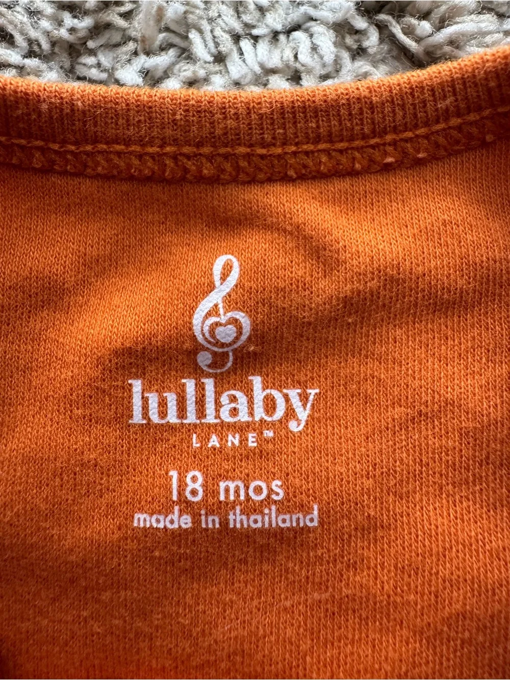 Lullaby Lane I Love Papasauruses Dinosaur Long Sleeve Bodysuit 18M Orange